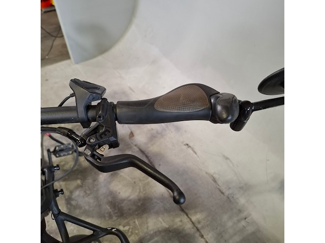 Elektrische herenfiets, riese&muller - afbeelding 8 van  17