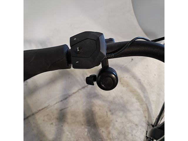 Elektrische herenfiets, sparta, ashine - afbeelding 7 van  15