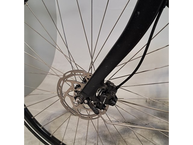 Elektrische herenfiets, sparta, ashine - afbeelding 11 van  15