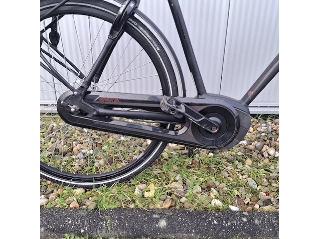 Elektrische herenfiets, sparta, m8i, zwart, 2018 - afbeelding 26 van  26