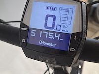 Elektrische herenfiets, trek, district +2 - afbeelding 16 van  29