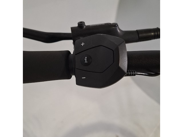 Elektrische herenfiets, trek, district +2 - afbeelding 17 van  29