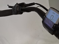 Elektrische herenfiets, trek, district +2 - afbeelding 29 van  29