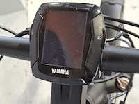 Elektrische herenfiets, winora, yucatan 12 pro - afbeelding 12 van  14