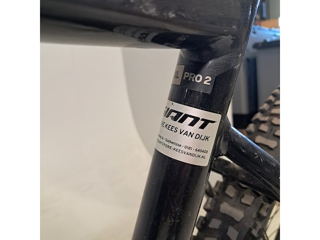 Elektrische mountainbike, giant, fathom pro - afbeelding 11 van  16