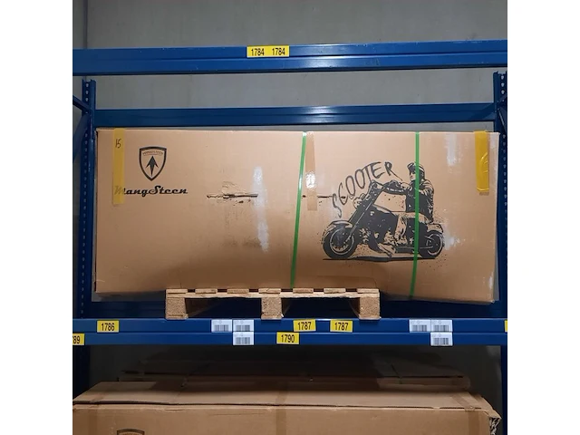 Elektrische scooter, mangosteen, m1, n-3-m1p-dg - afbeelding 1 van  3