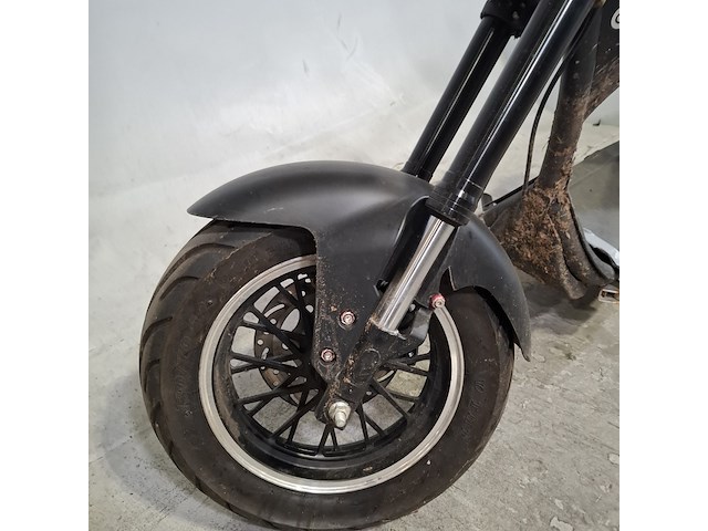 Elektrische snorscooter, mangosteen, m1, 2022 - afbeelding 23 van  33