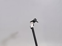 Elektrische step, ninebot - afbeelding 6 van  11