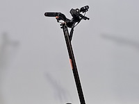 Elektrische step, zero 10x - afbeelding 11 van  16