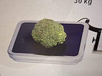 Elektrische weegschaal weighstation - afbeelding 4 van  4