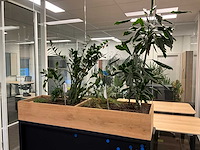 Elektrische zit/sta bureau - afbeelding 6 van  7