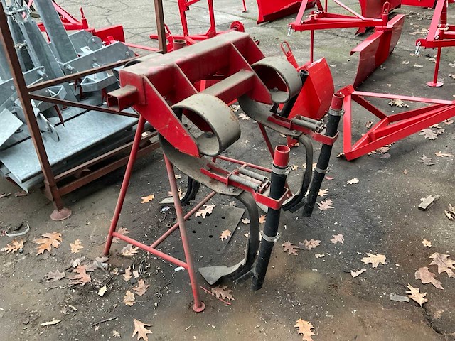 Element akkerlandbemester op bok - afbeelding 4 van  5