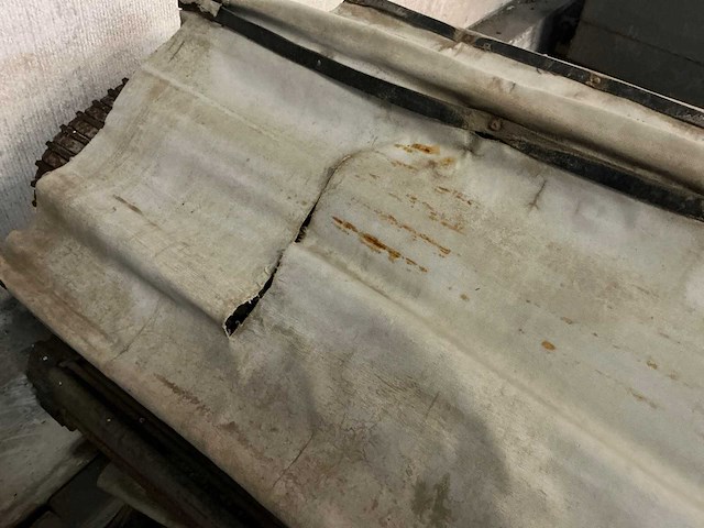 Elevatorband met meenemers passend voor asa-lift t255df - afbeelding 2 van  4