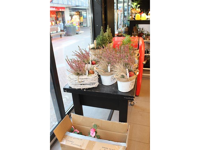 Elf heideplantjes op tafel in diverse uitvoeringen. - afbeelding 2 van  3