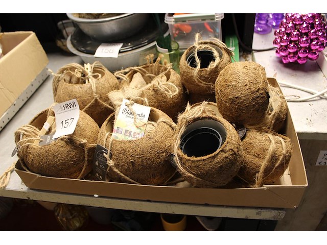 Elf kokodamapotjes. - afbeelding 1 van  2