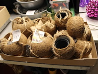 Elf kokodamapotjes. - afbeelding 1 van  2