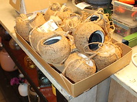 Elf kokodamapotjes. - afbeelding 2 van  2