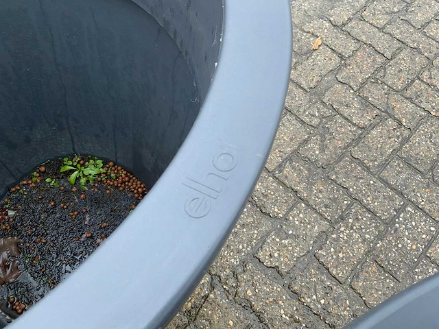 Elho plantenbak (2x) - afbeelding 2 van  5