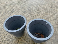 Elho plantenbak (2x) - afbeelding 3 van  5