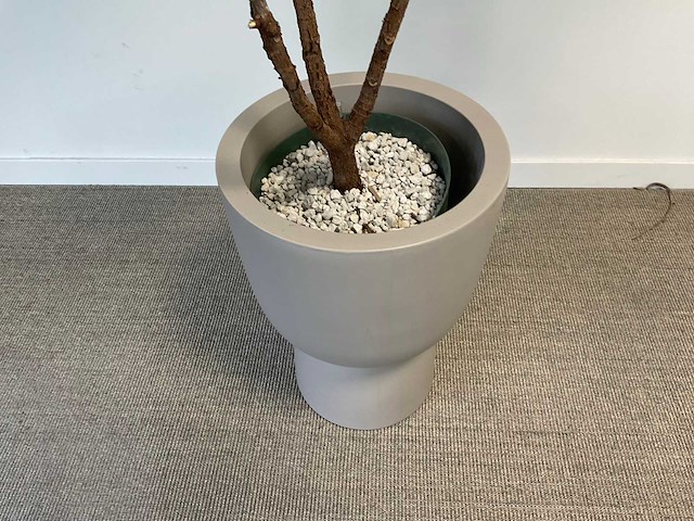 Elho plantenbak met plant - afbeelding 3 van  6