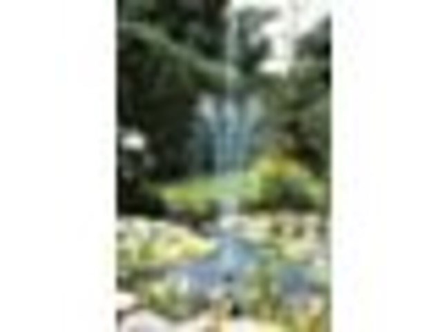 Elimax 9000 fonteinpomp, ubbink - afbeelding 2 van  5