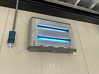 Elis - halo - insectenvanger (2x) - afbeelding 1 van  4