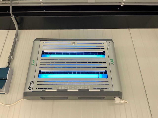 Elis - halo - insectenvanger (2x) - afbeelding 2 van  4