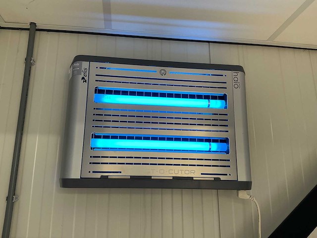 Elis - halo - insectenvanger (2x) - afbeelding 3 van  4