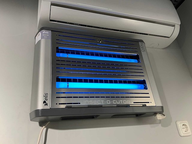 Elis - halo - insectenvanger - afbeelding 1 van  2