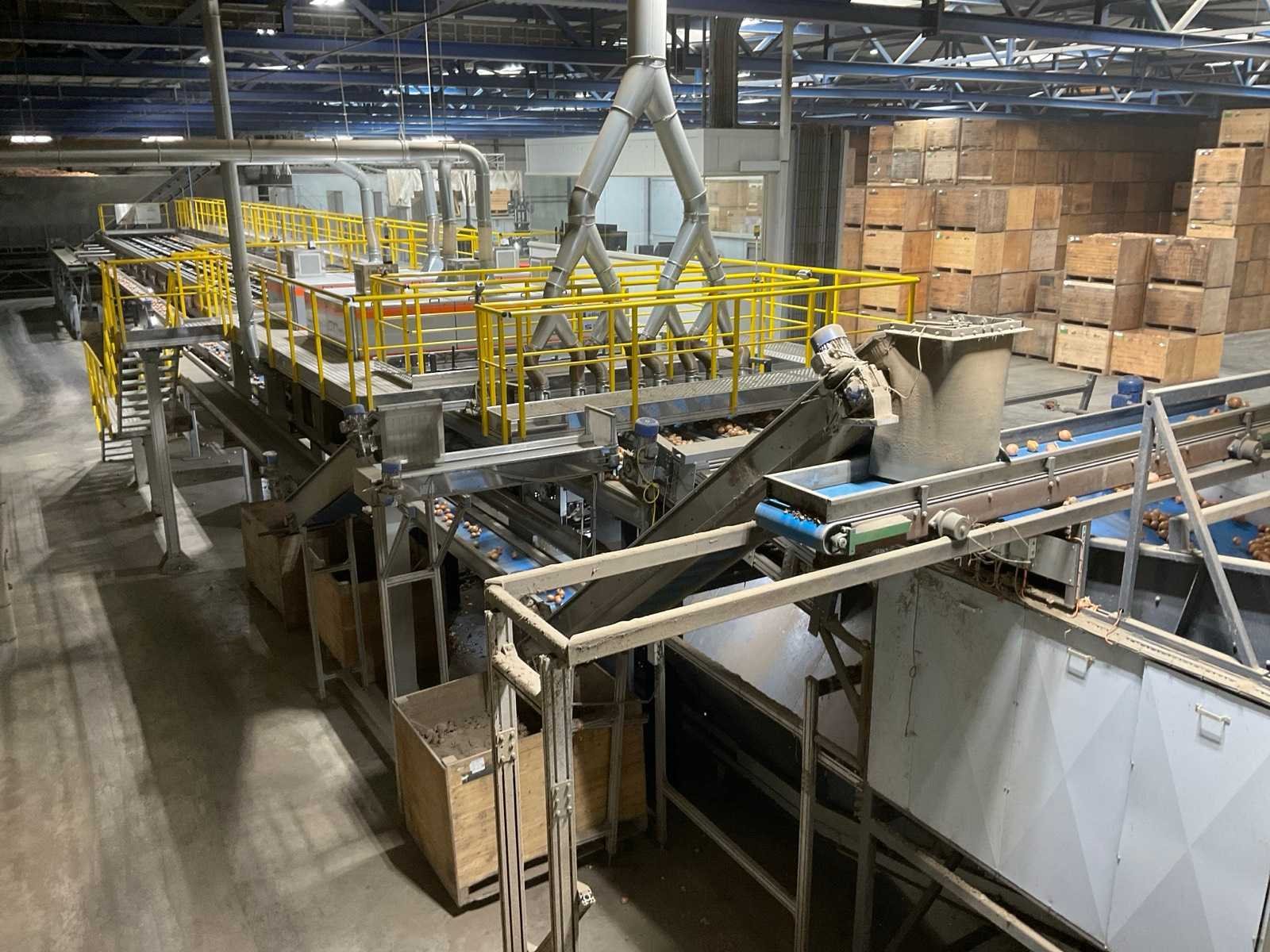 Elisam optische sorteerlijn voor uien, hoogwaardige agf machines en toebehoren