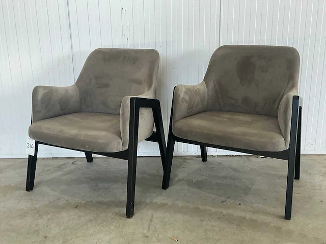 Elite lusso fauteuil (2x) - afbeelding 1 van  5