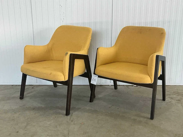 Elite lusso fauteuil (2x) - afbeelding 1 van  5