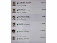 Ellen wille , modess, etc - partij hoogwaardige haarwerken/ pruiken (20x) - afbeelding 6 van  7