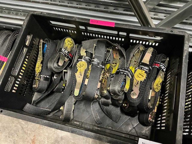 Eller ratelbanden - afbeelding 2 van  5