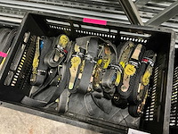 Eller ratelbanden - afbeelding 2 van  5