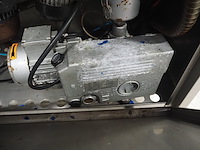 Eller - afbeelding 10 van  10