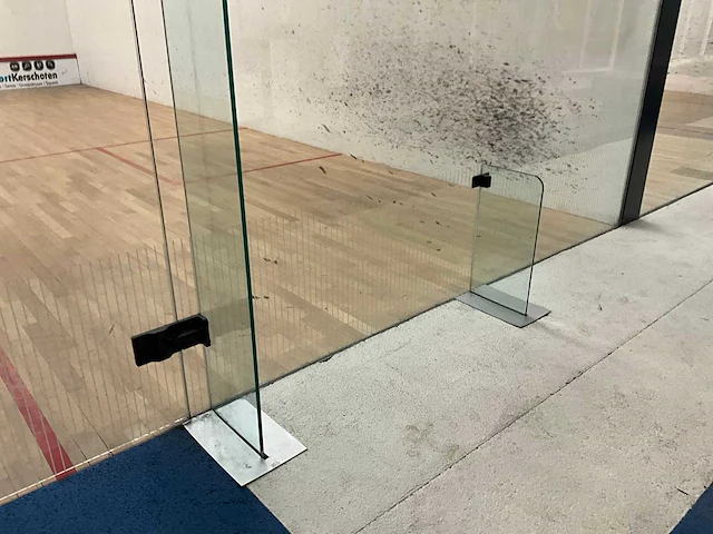 Ellis pearson squash achterwand met deur - afbeelding 3 van  9