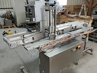 Els - afbeelding 13 van  15