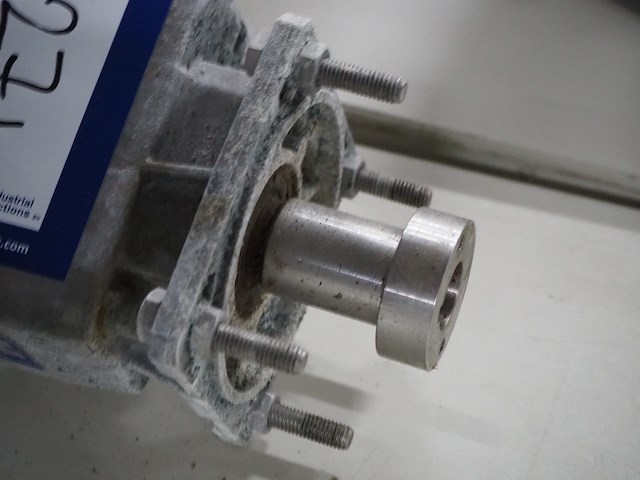 Elsto - afbeelding 4 van  4