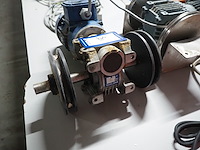 Elsto - afbeelding 3 van  6