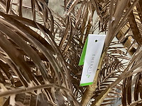 Emerald areca palm kunstkamerplant (3x) - afbeelding 6 van  6