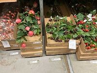 Emerald kunstbloemen - afbeelding 6 van  15