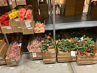 Emerald kunstbloemen - afbeelding 1 van  15