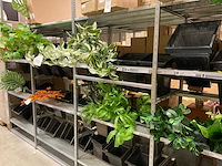 Emerald kunstbloemen - afbeelding 1 van  9