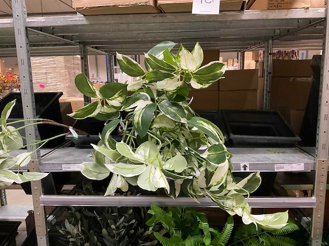 Emerald kunstbloemen - afbeelding 4 van  9