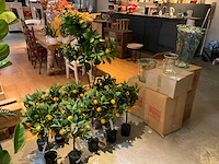 Emerald kunstbomen (10x) - afbeelding 1 van  6