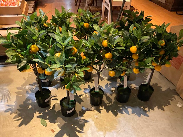 Emerald kunstbomen (10x) - afbeelding 2 van  6