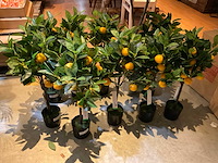 Emerald kunstbomen (10x) - afbeelding 2 van  6