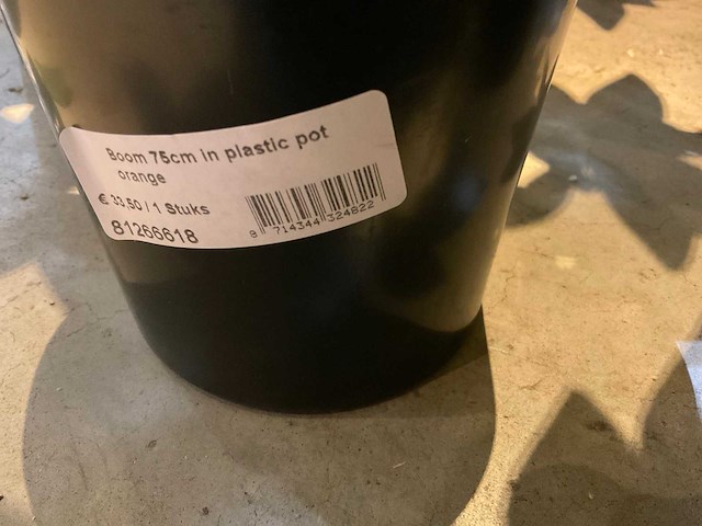 Emerald kunstbomen (10x) - afbeelding 5 van  6