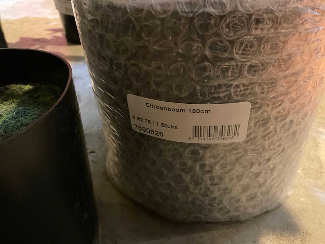 Emerald kunstbomen (10x) - afbeelding 6 van  6